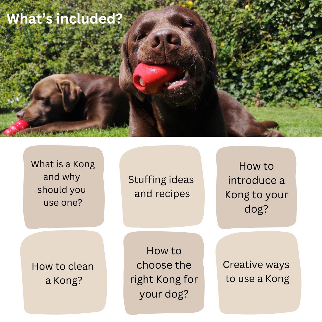 E-book for how to use a Kong Toy - whats included