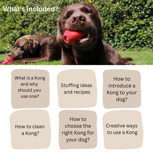 E-book for how to use a Kong Toy - whats included