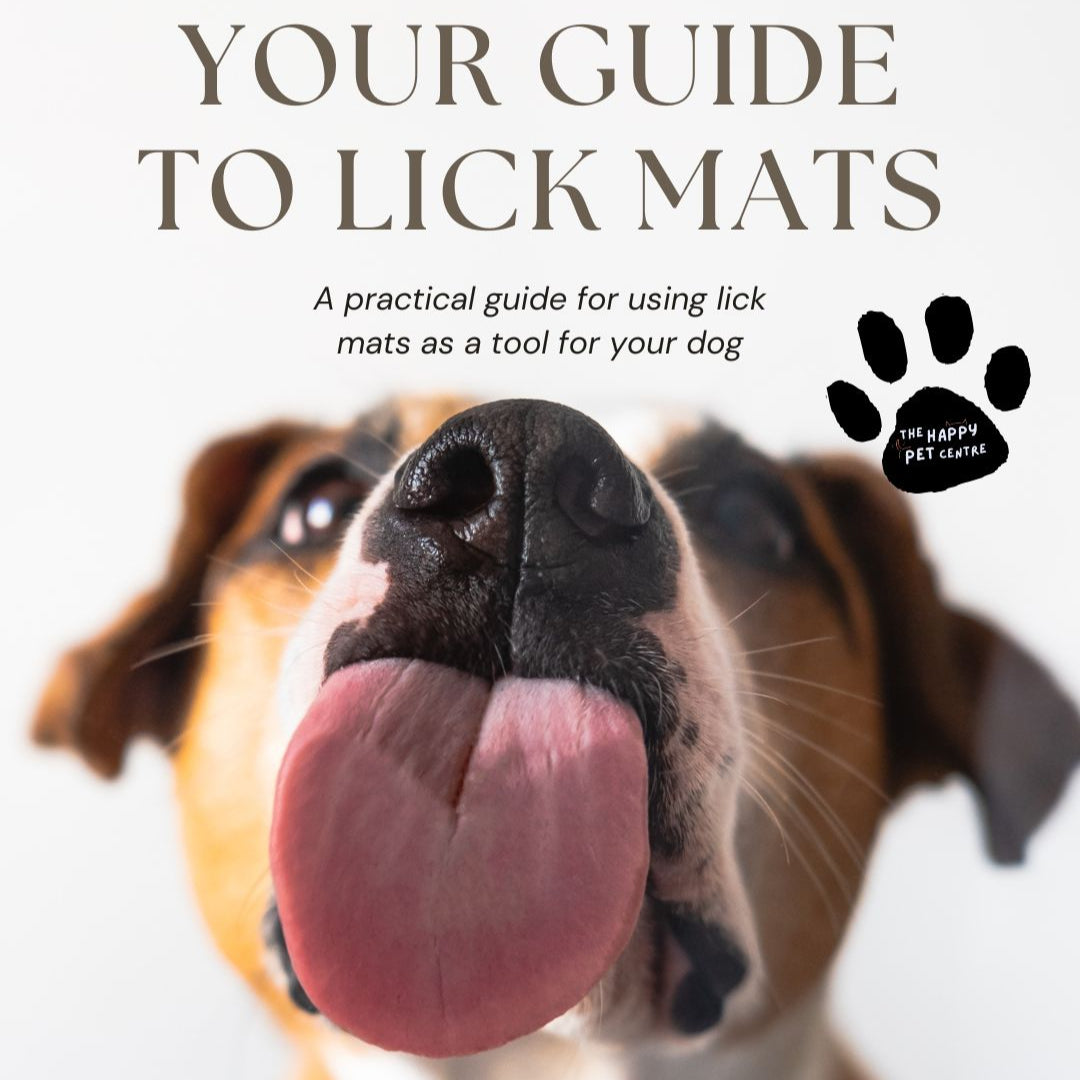 Dog licking a window - guide to using a lick mat by The Happy Pet Centre