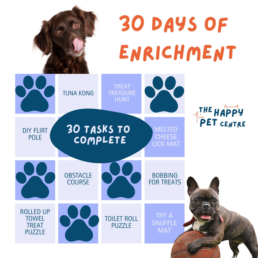 30 Enrichment Ideas for your dog including 2 pictures of happy dogs