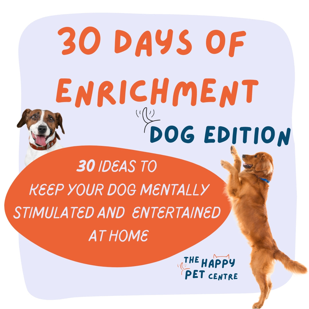 30 Enrichment Ideas for your dog