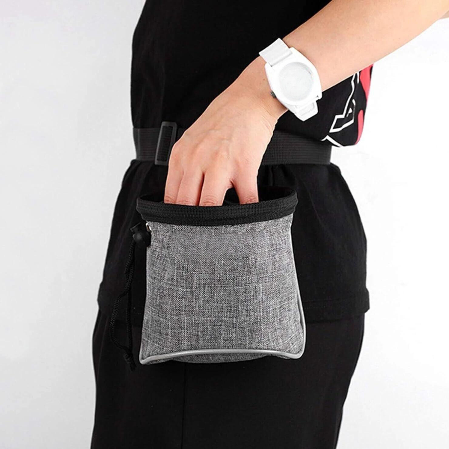 Grey dog training pouch to hold treats