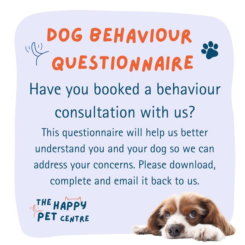 Dog Behaviour Questionnaire – The Happy Pet Centre