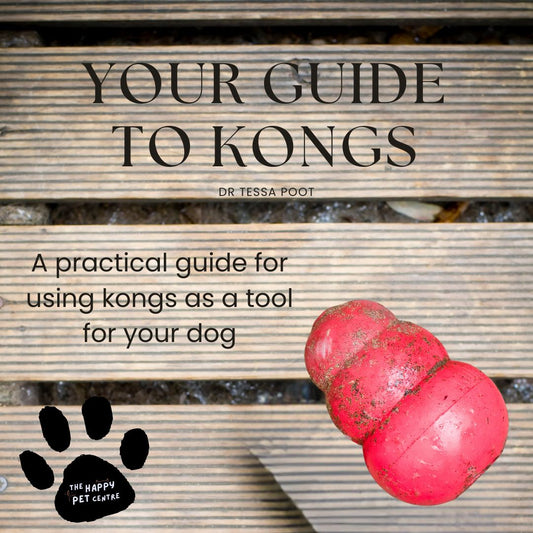 E-book for how to use a Kong Toy