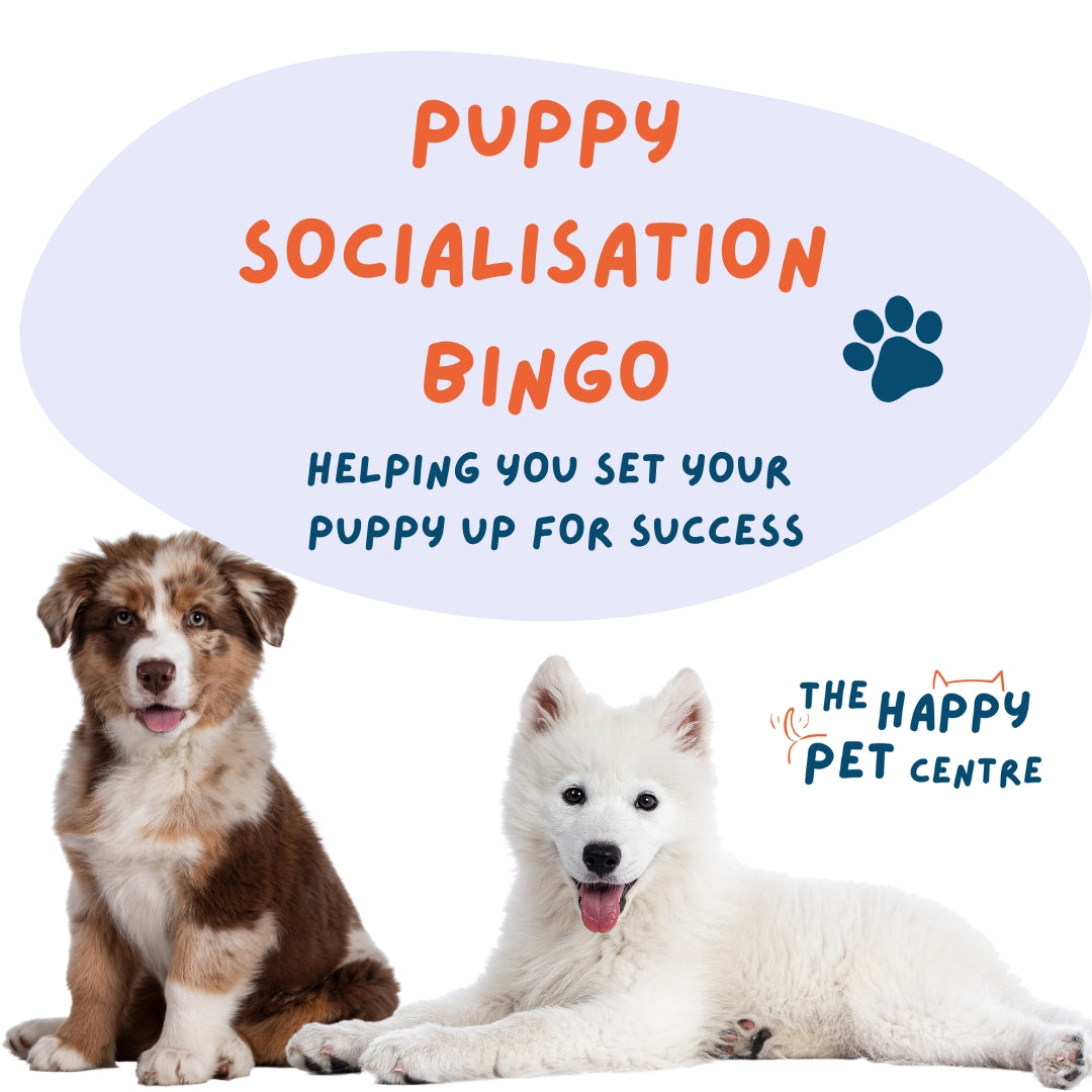 Puppy Socialisation Bingo featuring two photos of puppies