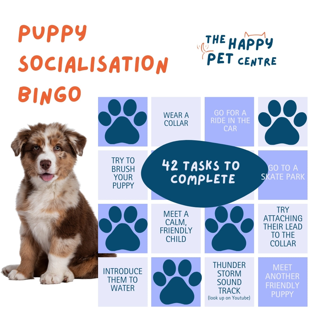 Puppy Socialisation Bingo Card with 42 tasks to complete